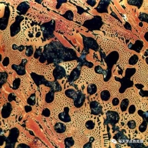 亞共晶鑄鐵典型金相圖.jpg 亞共晶鑄鐵典型金相圖.jpg