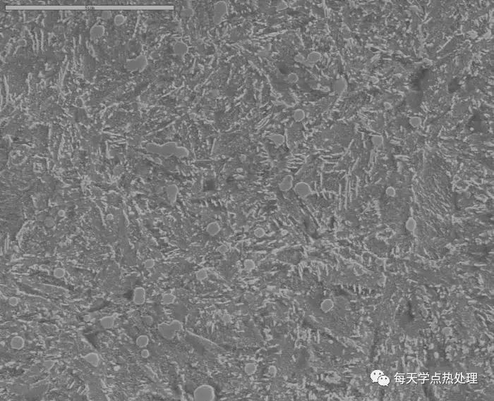 調(diào)質(zhì)-2.jpg 調(diào)質(zhì)-2.jpg