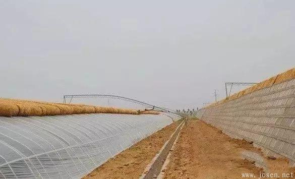 大棚造價及優缺點分析-3.jpg 大棚造價及優缺點分析-3.jpg