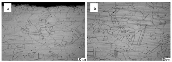 圖6  904L熱軋態(tài)固溶處理后顯微組織（a，邊部；b，心部）.png
